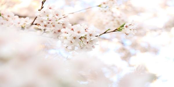 Funeral Homes in Dayton WA