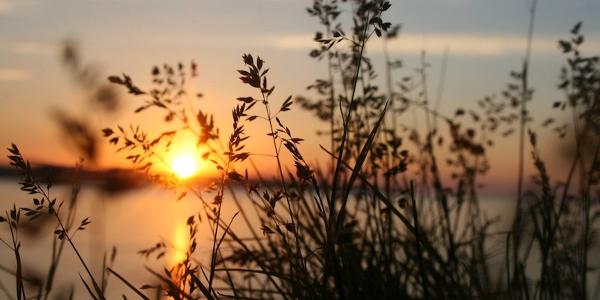 cremation services in Dayton WA