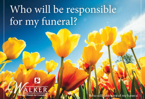A field of yellow tulips under a bright blue sky, with the text 