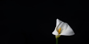 funeral home in Milton-Freewater OR