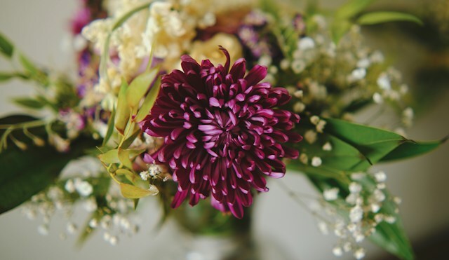cremation services walla walla wa