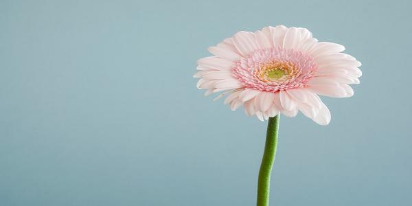 cremation service in Walla Walla WA