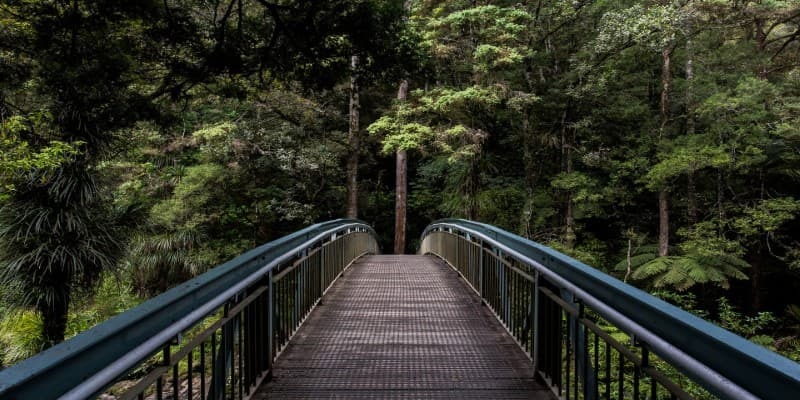 cremation service in Dayton WA