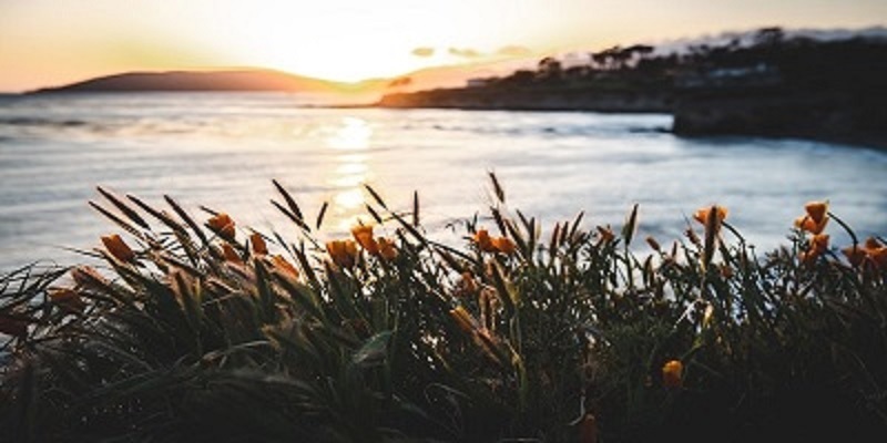 cremation service in Dayton WA