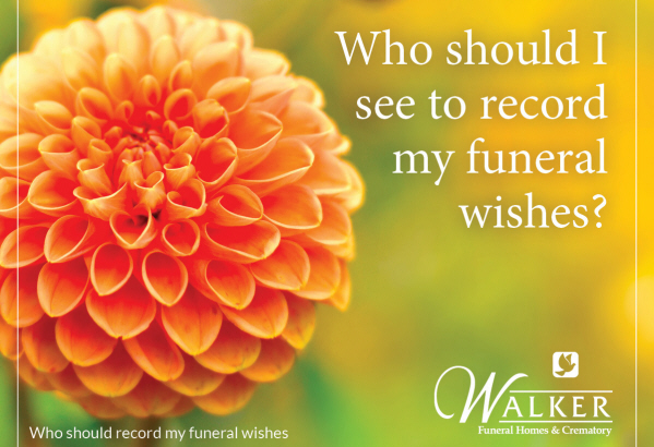An orange dahlia with text: 